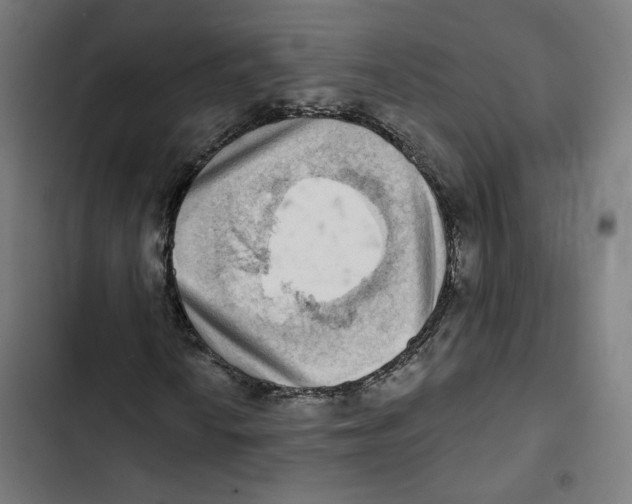 X0000102501010200809051340