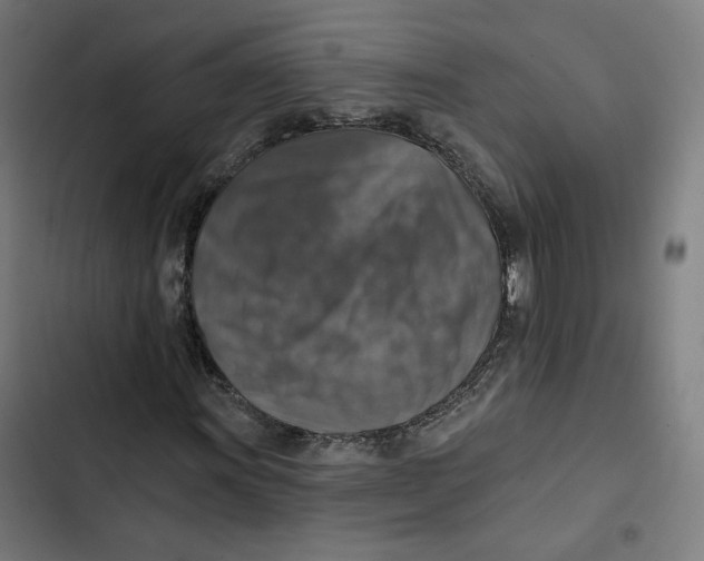 X0000102501011200809051340