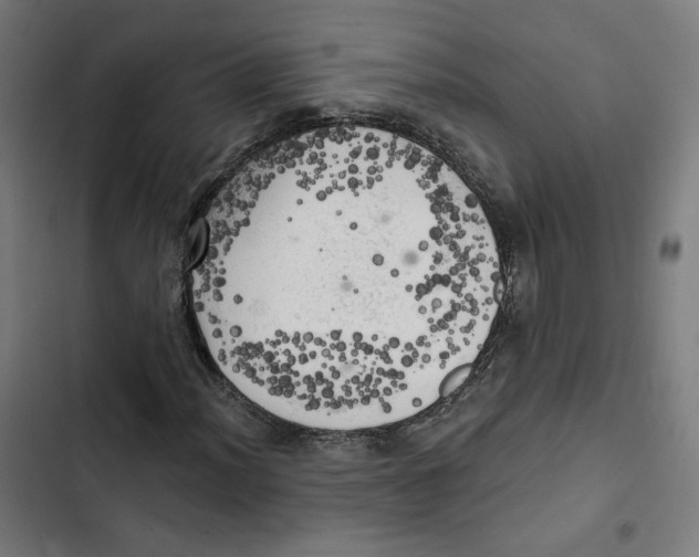 X0000102501012200809051340