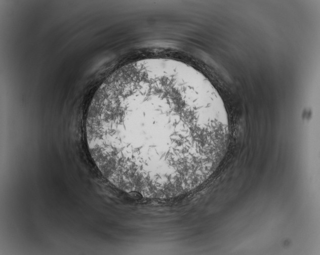 X0000102501014200809051340