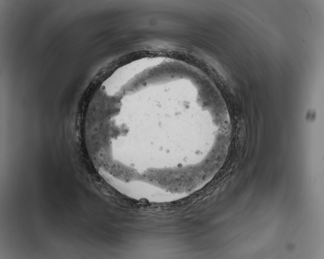 X0000102501016200809051340