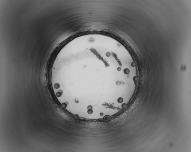 X0000102501018200809051340