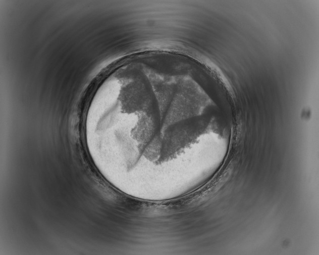 X0000102501019200809051340