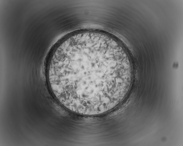 X0000102501022200809051340