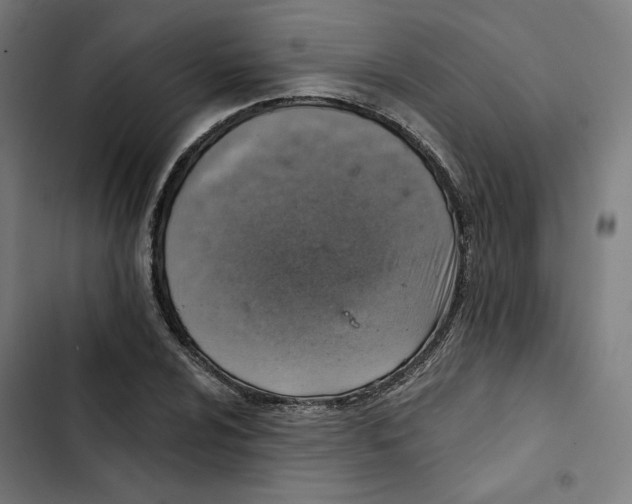 X0000102501024200809051341