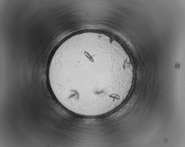 X0000102501025200809051341