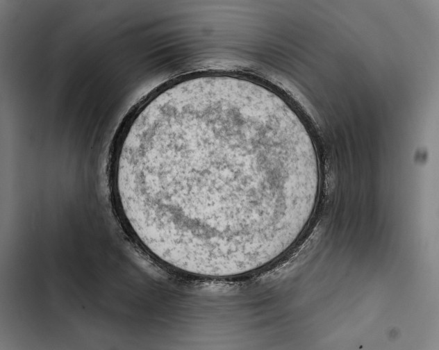 X0000102501026200809051341