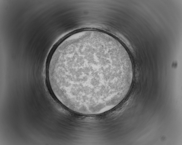 X0000102501028200809051341