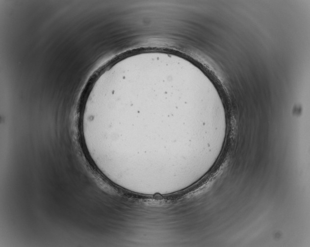 X0000102501029200809051341