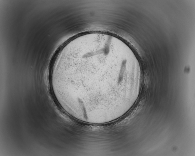 X0000102501030200809051341