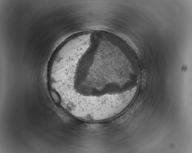 X0000102501031200809051341