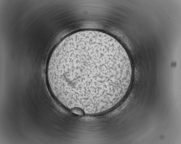 X0000102501033200809051341