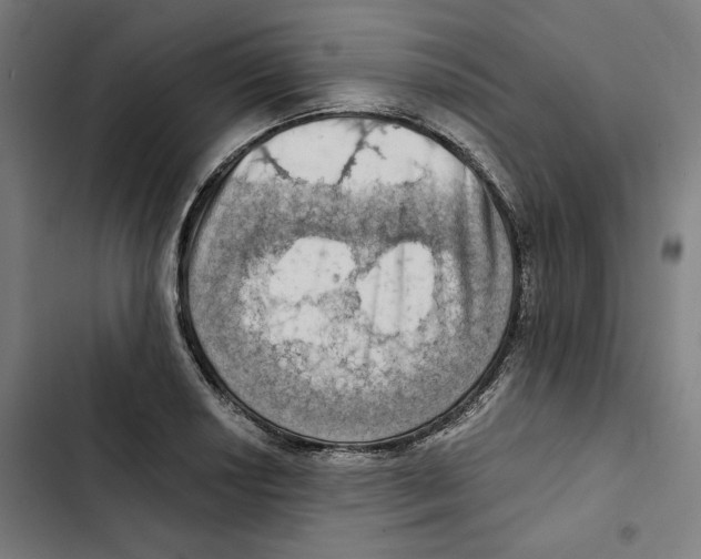 X0000102501034200809051341