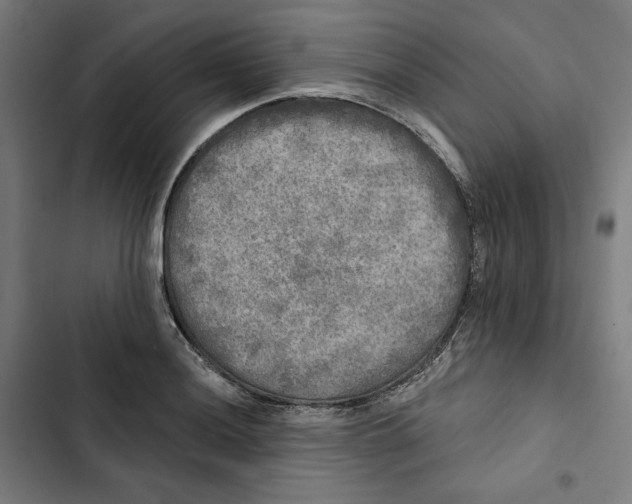 X0000102501036200809051341