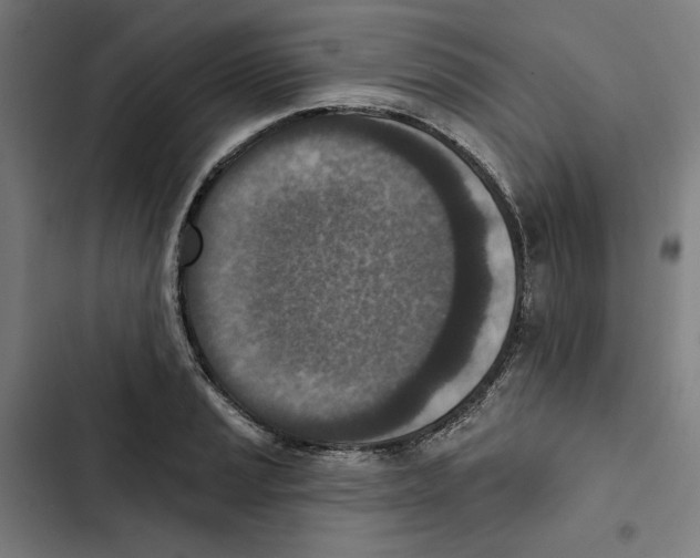 X0000102501037200809051341