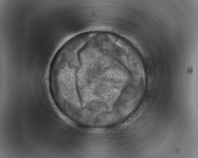 X0000102501038200809051341