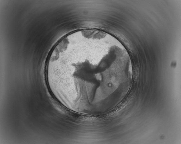 X0000102501039200809051341