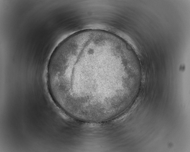 X0000102501040200809051341