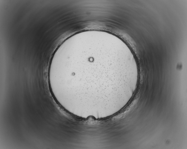 X0000102501041200809051341