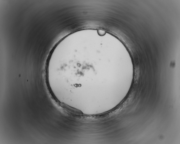 X0000102501042200809051341