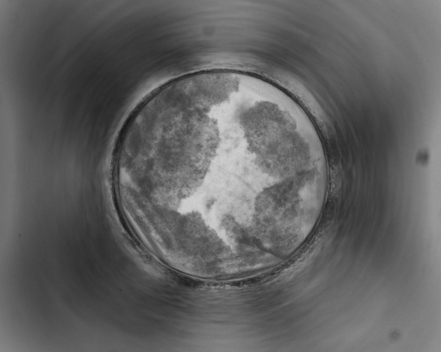 X0000102501043200809051341