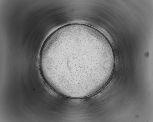 X0000102501044200809051341