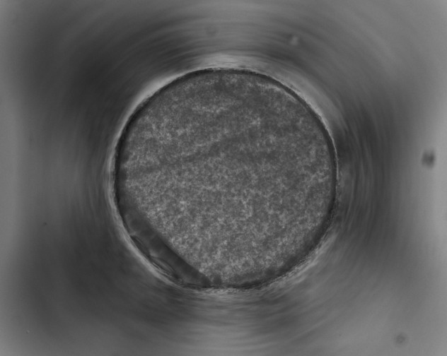 X0000102501045200809051341