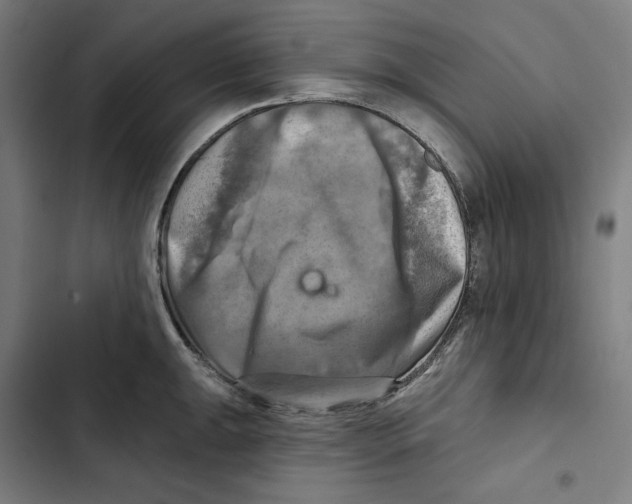 X0000102501047200809051341