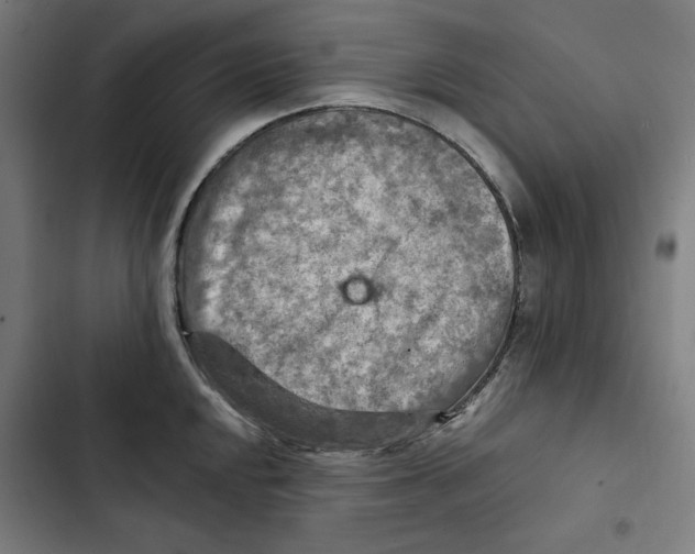 X0000102501048200809051341