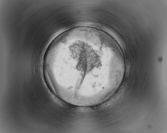 X0000102501050200809051341