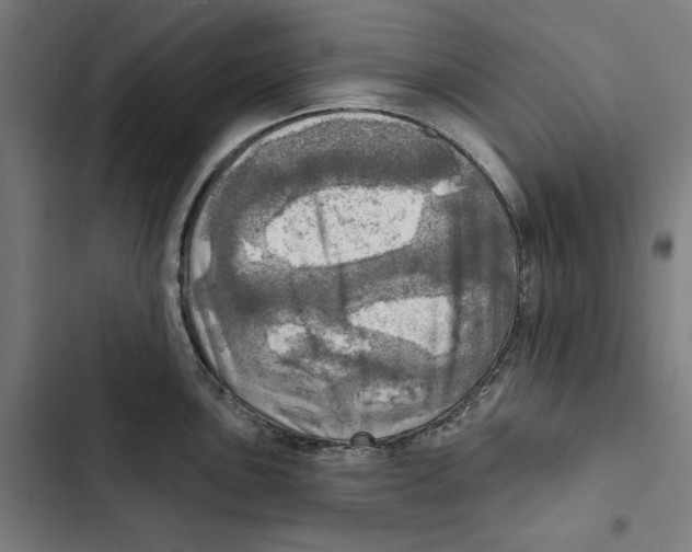 X0000102501051200809051341