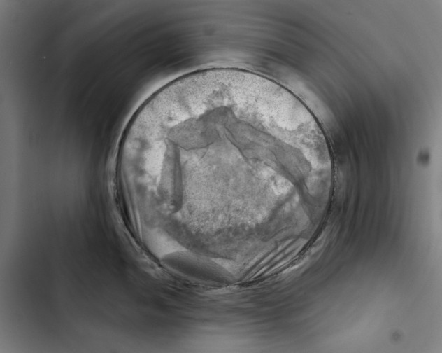 X0000102501052200809051341