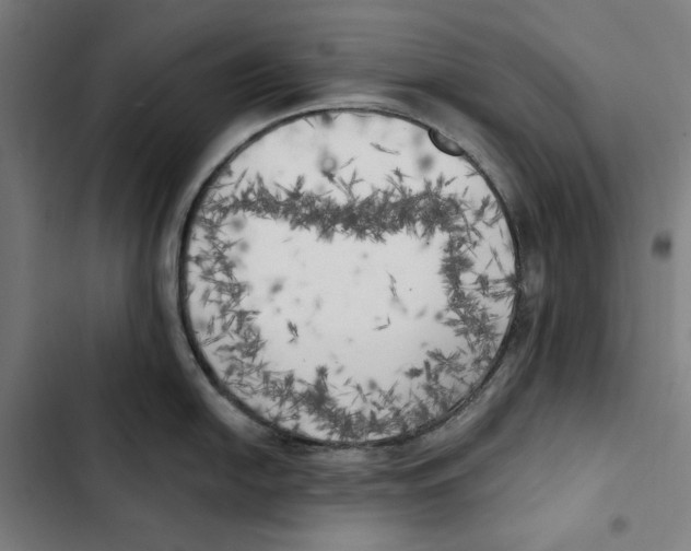 X0000102501054200809051341