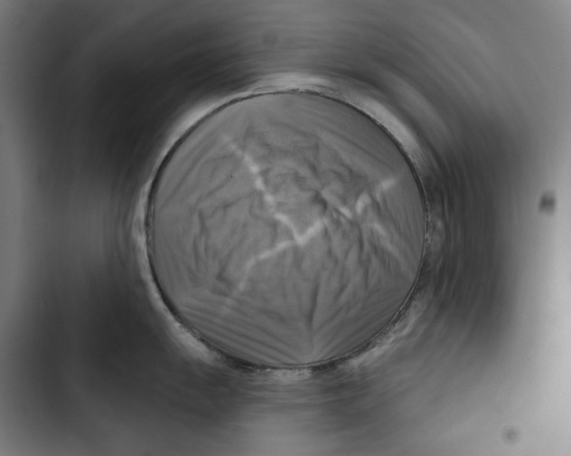 X0000102501055200809051341