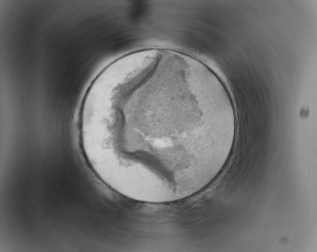 X0000102501056200809051341