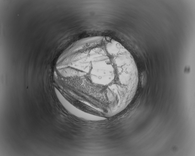 X0000102501059200809051340