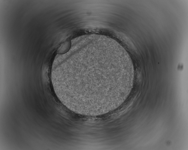 X0000102501060200809051340