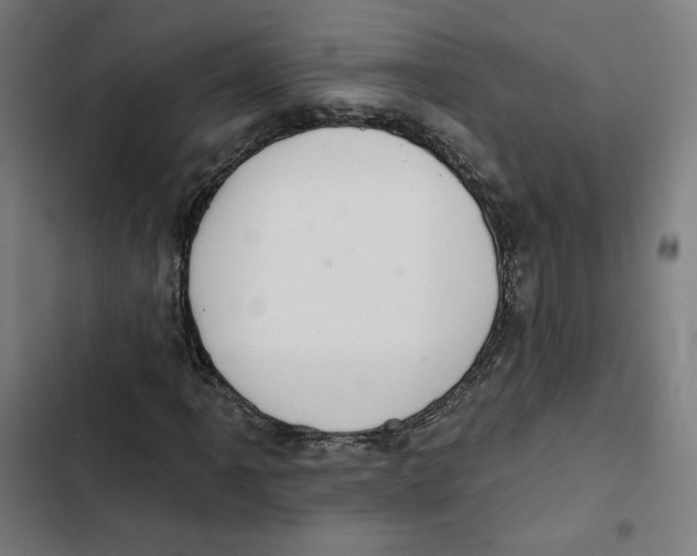 X0000102501061200809051340