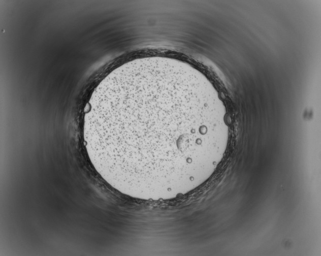 X0000102501064200809051340