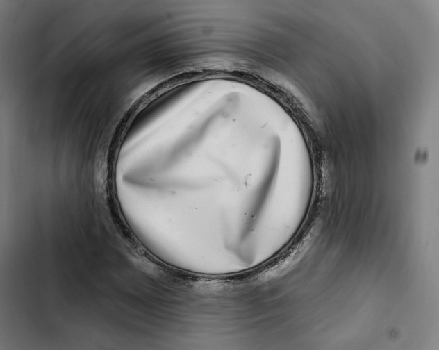 X0000102501065200809051340