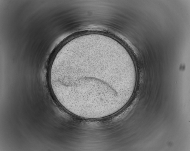 X0000102501066200809051340