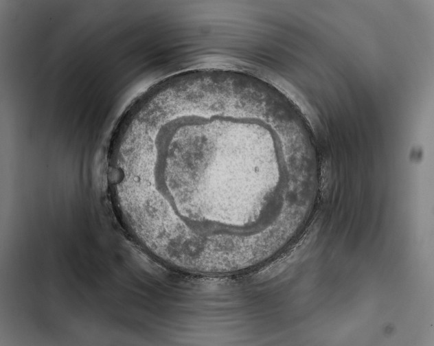 X0000102501067200809051340