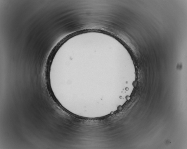 X0000102501068200809051340