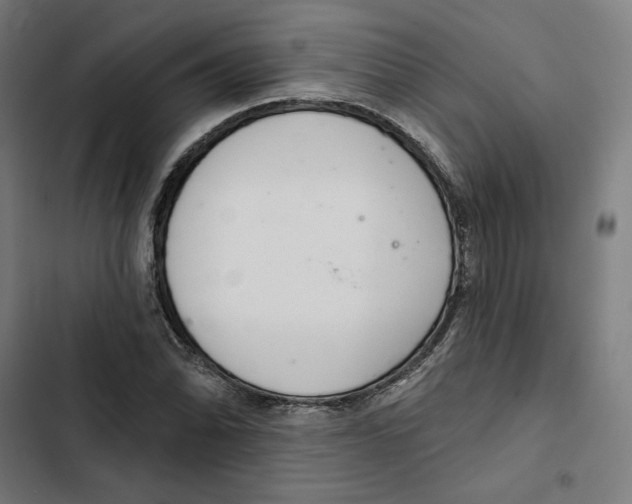 X0000102501070200809051340