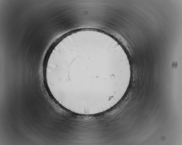 X0000102501072200809051340