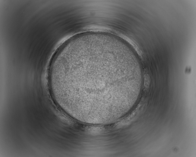 X0000102501074200809051340