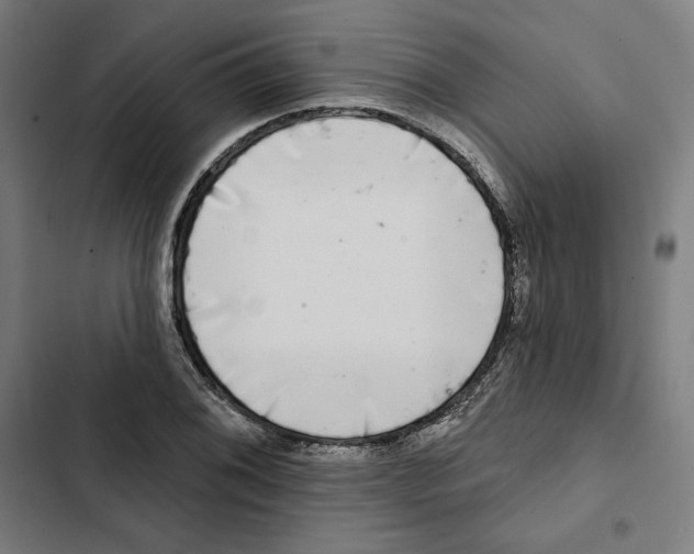 X0000102501076200809051340