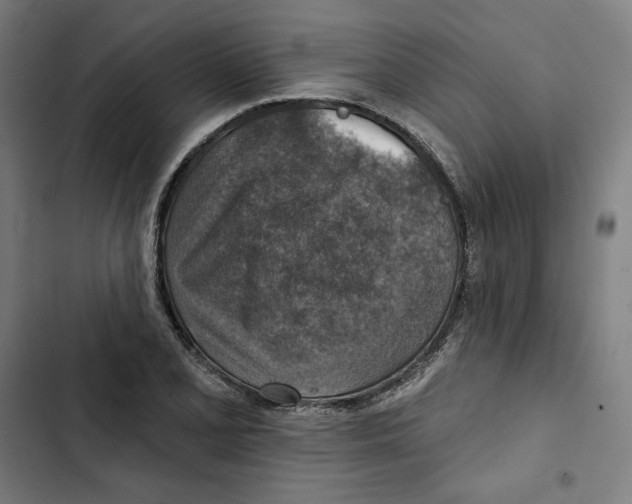 X0000102501077200809051340