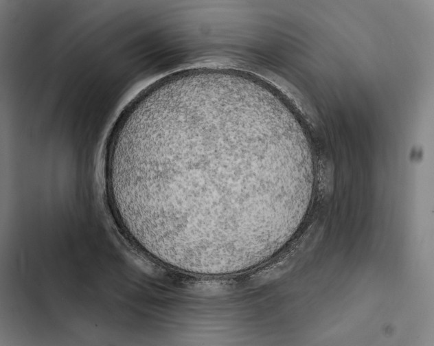 X0000102501078200809051340