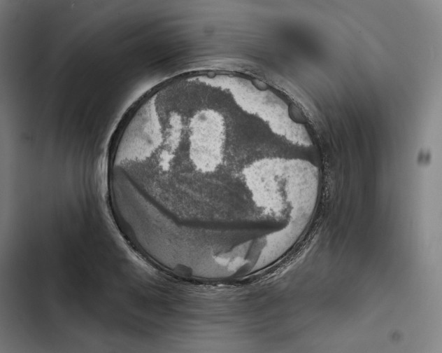 X0000102501079200809051340